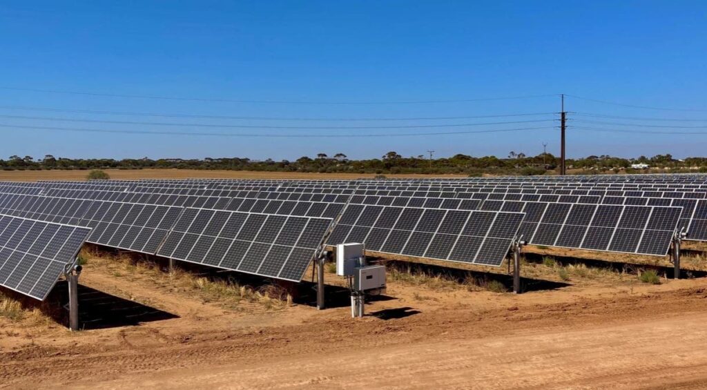 Two new solar farms connected to grid as MPower pursues niche market ...