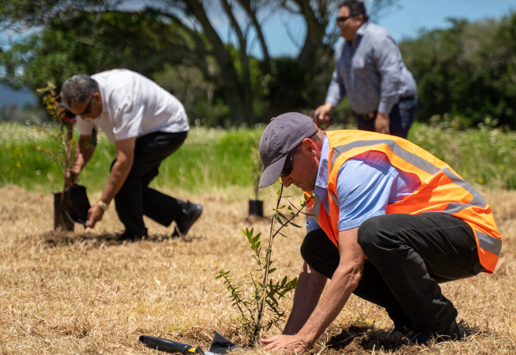NZ developer starts work on first in suite of five large-scale solar ...