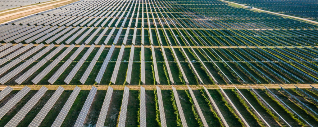 Lightsource bp targets renewables growth after offloading solar farm ...