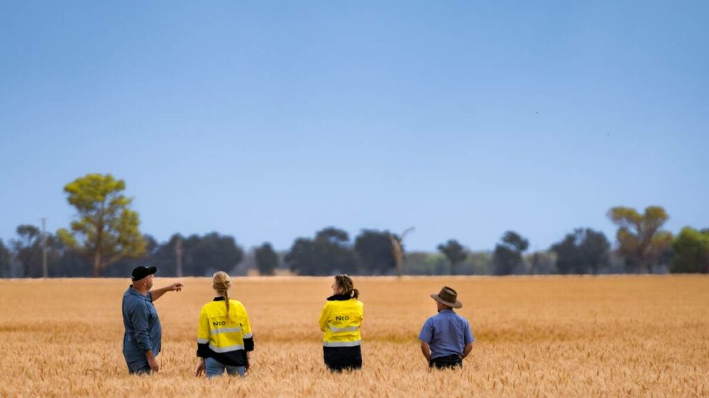 Neoen gives go-ahead for second largest solar farm in global portfolio ...