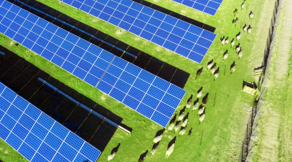 Harmony syncs with First Renewables on 150 MW NZ solar farm - pv ...