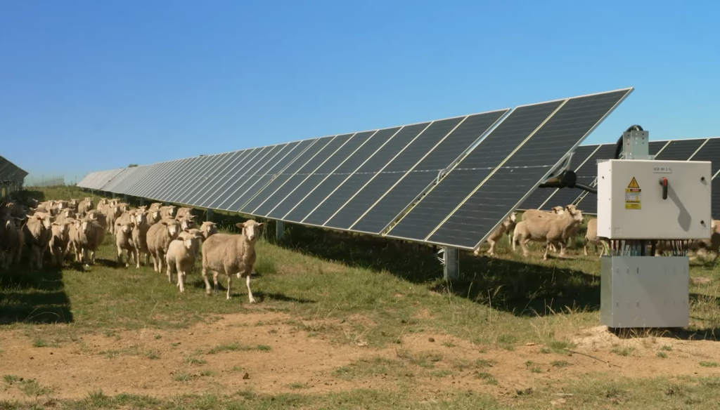One Pv Module Solar myths and misconceptions busted - pv magazine Australia