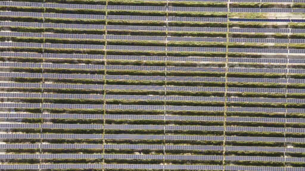 Telstra inks offtake deal for 200 MW NSW solar project - pv magazine ...