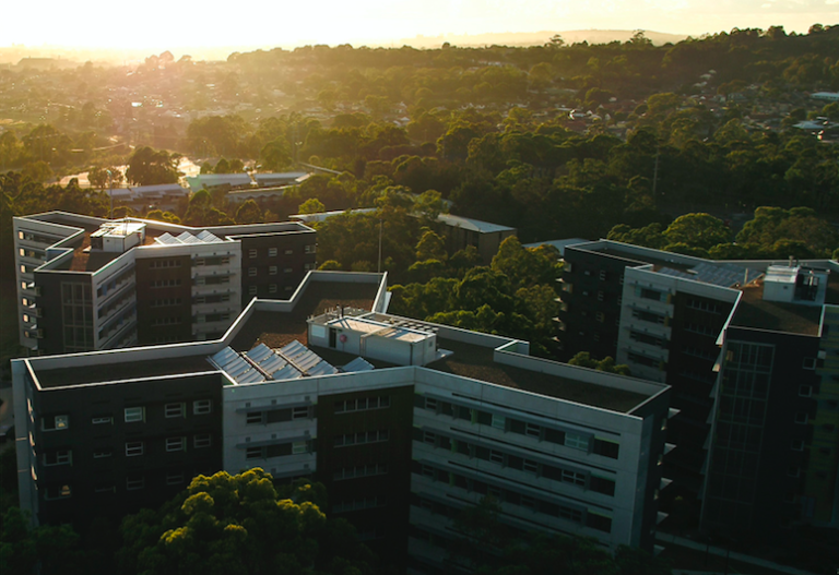 University of Newcastle signs 100 renewable electricity deal pv magazine Australia