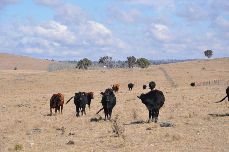 NSW solar farm agrees to pay 5.9 million benefit