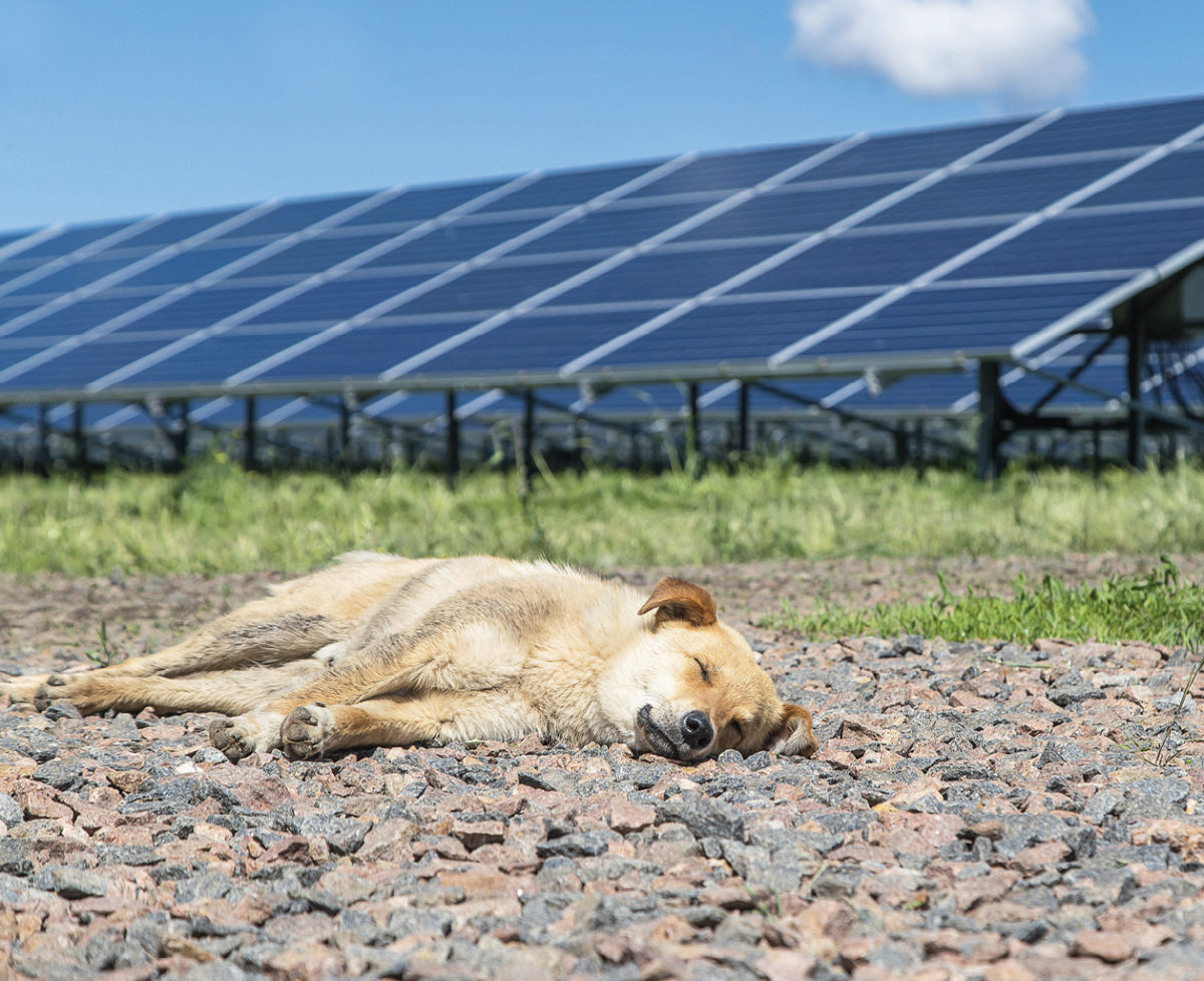 Weekend read: Darkest hour before Ukraine's solar dawn