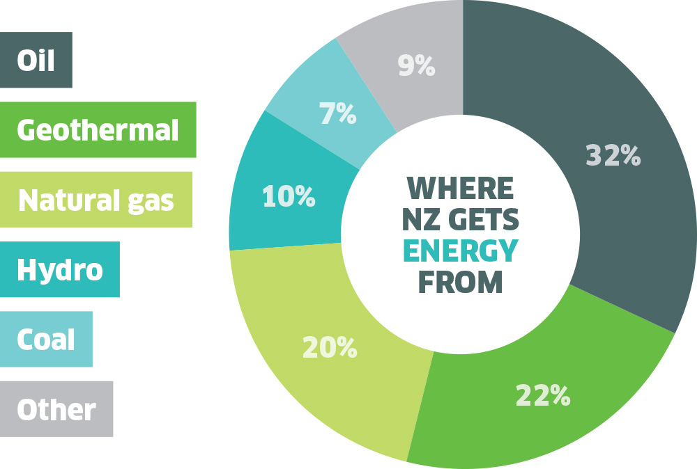 Agrivoltaic project set to New Zealand’s first utilityscale