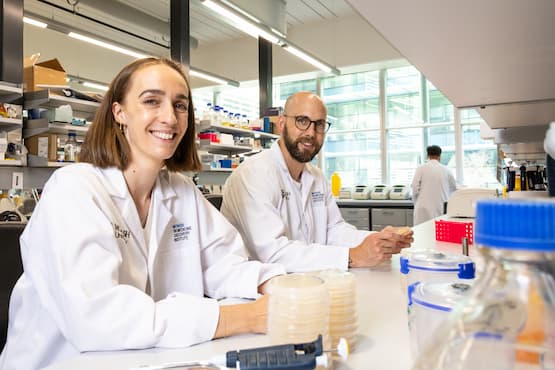 Científicos australianos descubren una enzima que convierte el aire en energía – pv magazine España