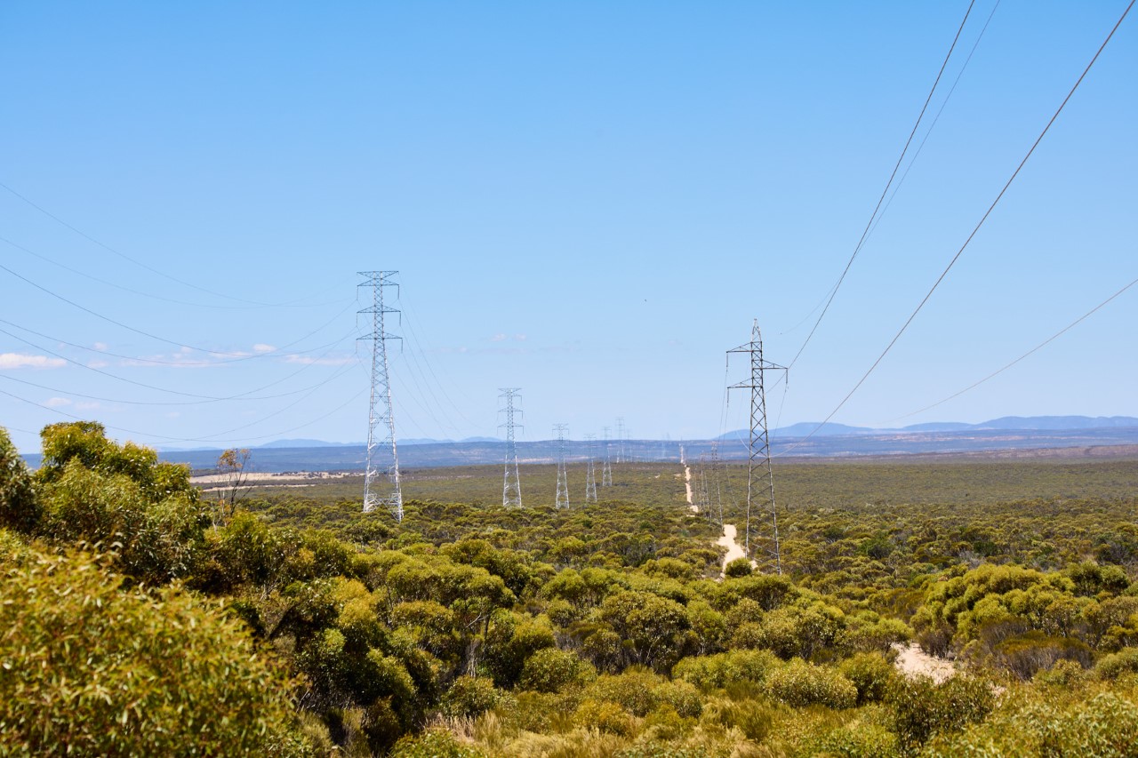 South Australian network operator unveils new transmission line pv