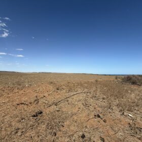 Major Boost for Green Hydrogen Project in Western Australia